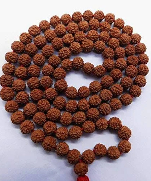 Rudraksha beads malas