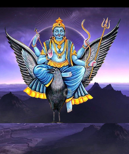 Festivals pujas