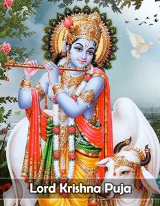 Lord Krishna pooja