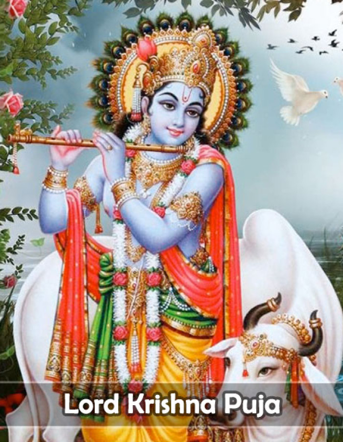 Lord Krishna pooja